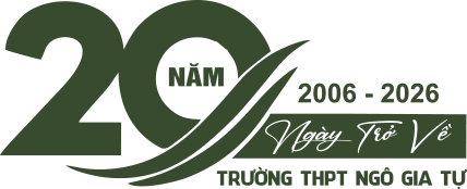 Logo 20 năm